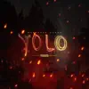 Yolo - Single album lyrics, reviews, download
