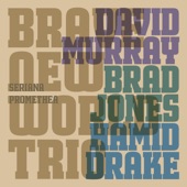 David Murray Brave New World Trio - Rainbows for Julia