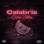 Dance Fruits Music & DMNDS - Calabria (feat. Fallen Roses, Lujavo & Lunis) [VIP Edit]