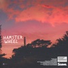 Hamster Wheel - Single