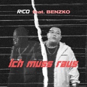 Ich muss raus (feat. Benzko) artwork