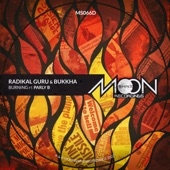 Burning (Radikal Guru Dub) artwork