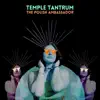 Stream & download Temple Tantrum - Single