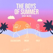 The Boys of Summer (feat. WLZN) artwork