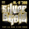 Silver & Gold (feat. Big Pokey & Lil' Keke) - AL-D*300 lyrics