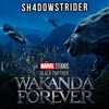 Black Panther: Wakanda Forever Official Trailer Music - Never Forget (Black Panther: Wakanda Forever Soundtrack) - Single