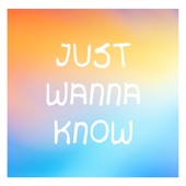 Just Wanna Know (feat. Rudi Silfa) artwork