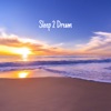 Sleep2dream Volume 4 - EP