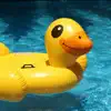 Happy Duck song lyrics