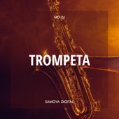 Trompeta (Radio Edit) artwork