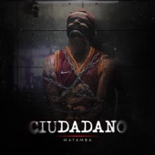 Ciudadano artwork