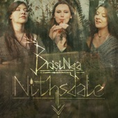 Nithsdale artwork