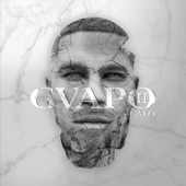GVAPO EP 2 artwork