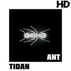 Ant Song Lyrics