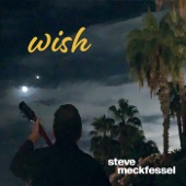 Steve Meckfessel - Wish