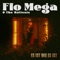 Es ist wie es ist - Flo Mega & The Ruffcats lyrics