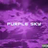 Purple Sky album lyrics, reviews, download