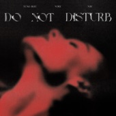 Do Not Disturb (feat. NAV & Yung Bleu) artwork