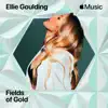 Fields Of Gold - Single album lyrics, reviews, download