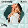 Fields Of Gold - Single