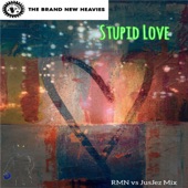 Stupid Love (RMN & JusJez Remix) artwork