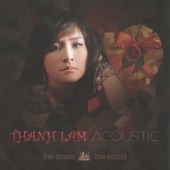 Thanh Lam Acoustic artwork