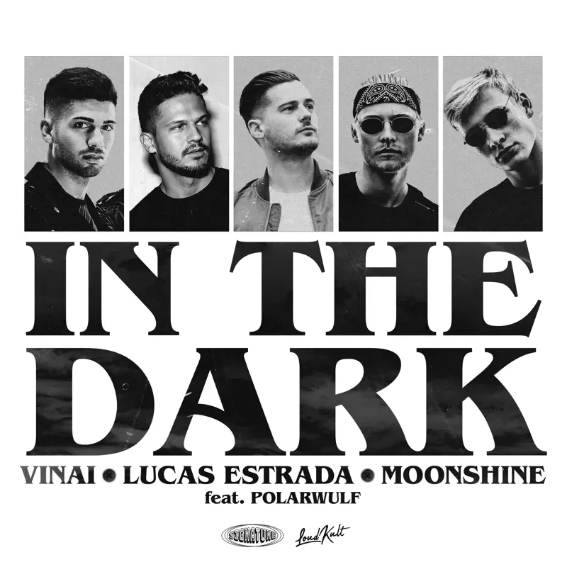 Vinai, Lucas Estrada & Moonshine - In The Dark (feat. Polarwulf) - Single (2022) [iTunes Plus AAC M4A]-新房子