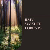 Rain-washed Forests artwork