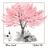 Redbud Tree - Single