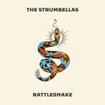 The Strumbellas - High