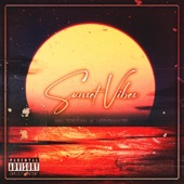 Sunset Vibes artwork