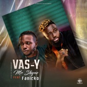 VAS-Y (feat. Fanicko) artwork