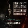 Scheme (The Vinyl) - Single