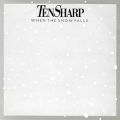 When The Snow Falls (Single Version) artwork