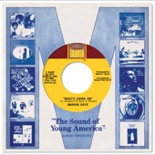 Gordon Staples - Sounds Of The Zodiac