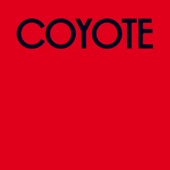 Coyote artwork