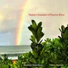 Nature Sounds of Puerto Rico album lyrics, reviews, download