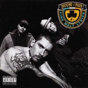 House of Pain - Jump Around - Line Dance Musique