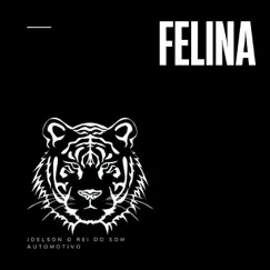 Felina - Single by JOELSON O REI DO SOM AUTOMOTIVO album reviews, ratings, credits