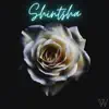Shintsha (feat. Don Mckay) - Single album lyrics, reviews, download