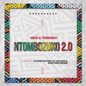 Ntombozuko 2.0 (feat. Luckeez Mfowethu, De'Moss & Since Nineteen89) artwork