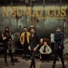 Neumáticos - Single