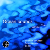 Ocean Sounds: Calming Tides artwork