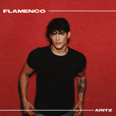 Flamenco - Aritz