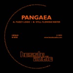 Pangaea - Still Flowing Water