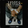 Levels (feat. Sunny Malton) - Single album lyrics, reviews, download