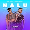 Nalu - Single