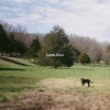 Late July by Zach Bryan iTunes Track 2