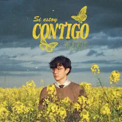 Si estoy contigo - Single by Flavio album reviews, ratings, credits