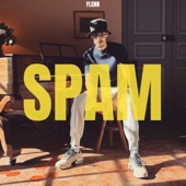 Spam artwork